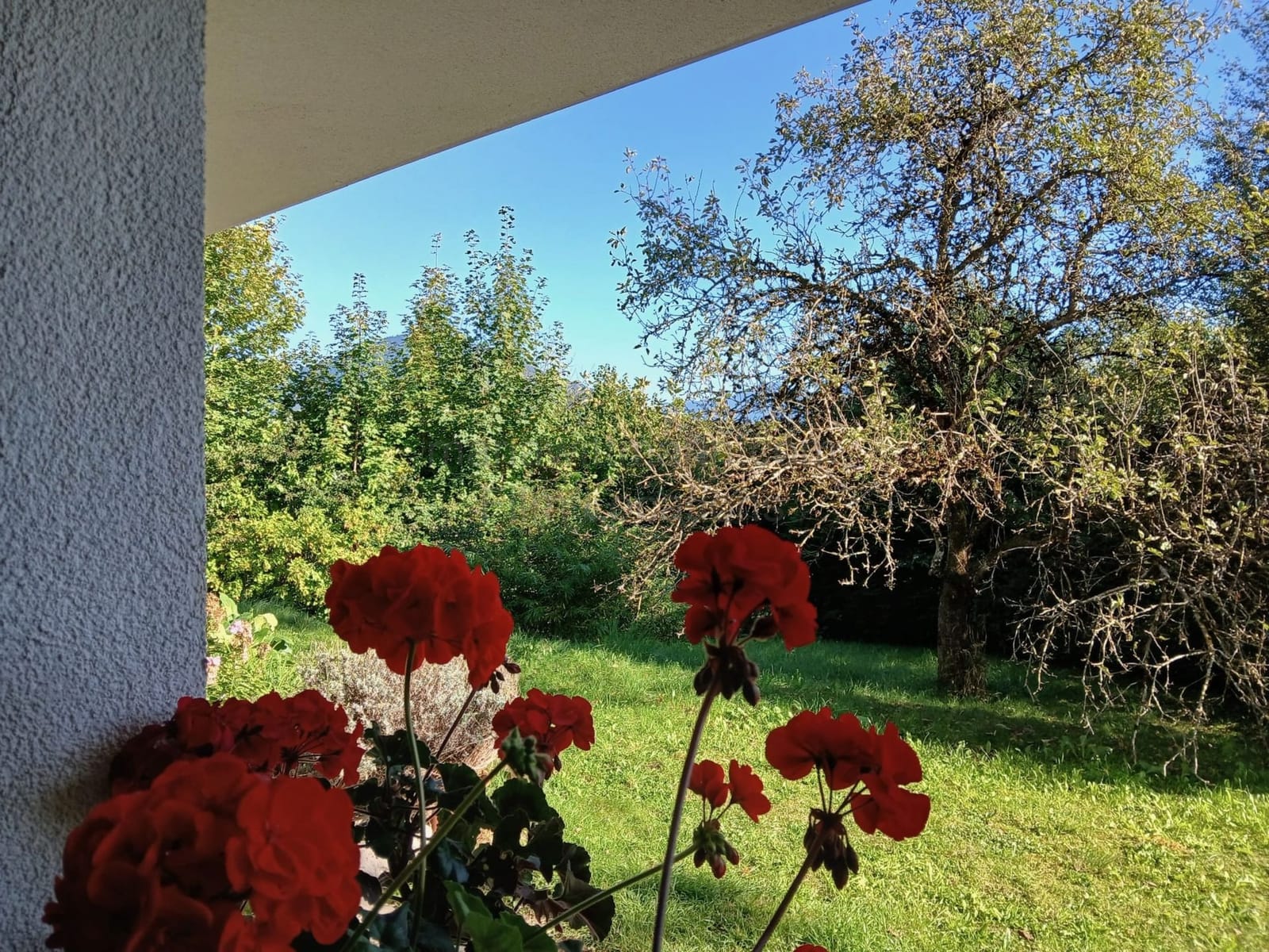 Location 508 - Photo 7