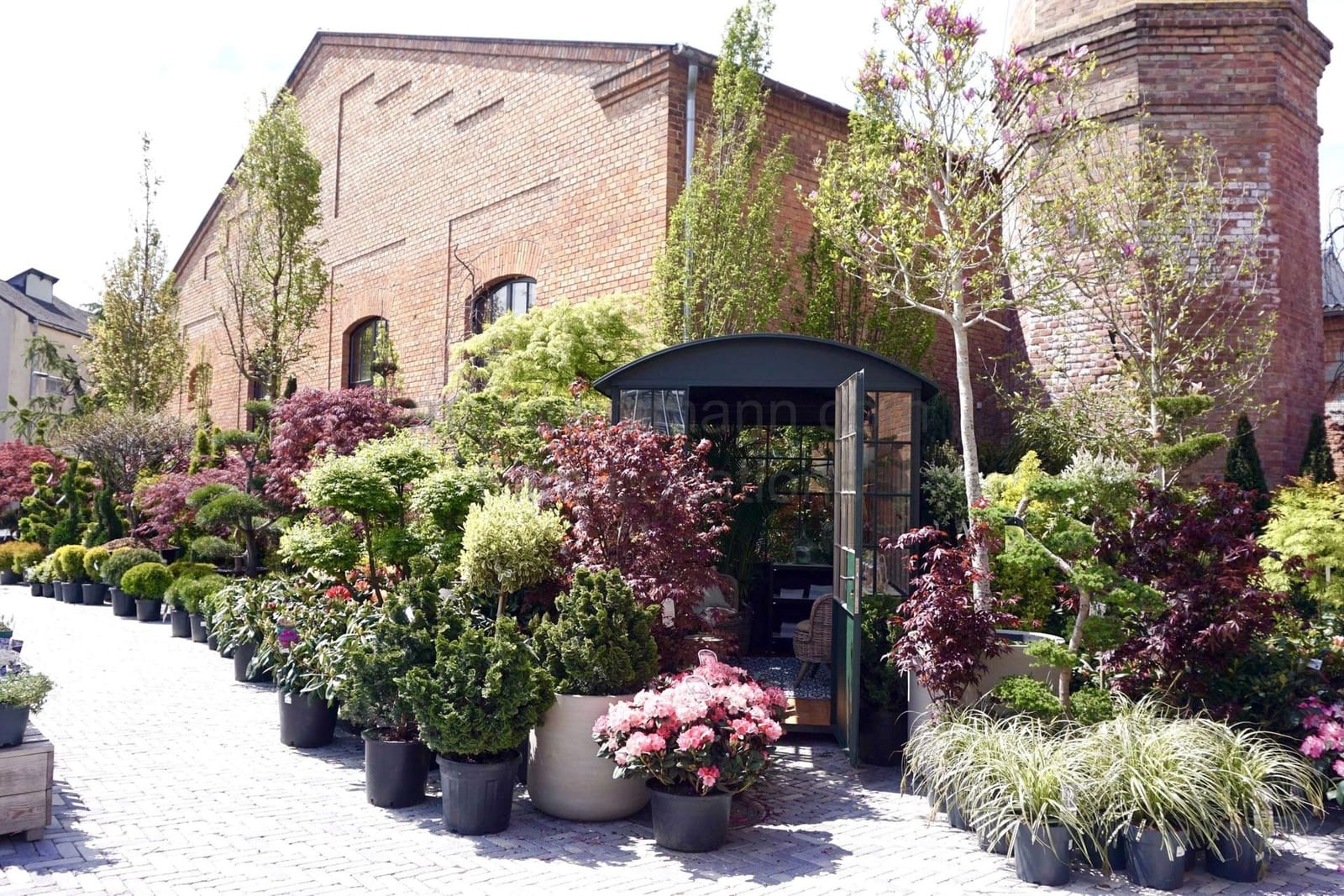 Location 365 - Photo 3