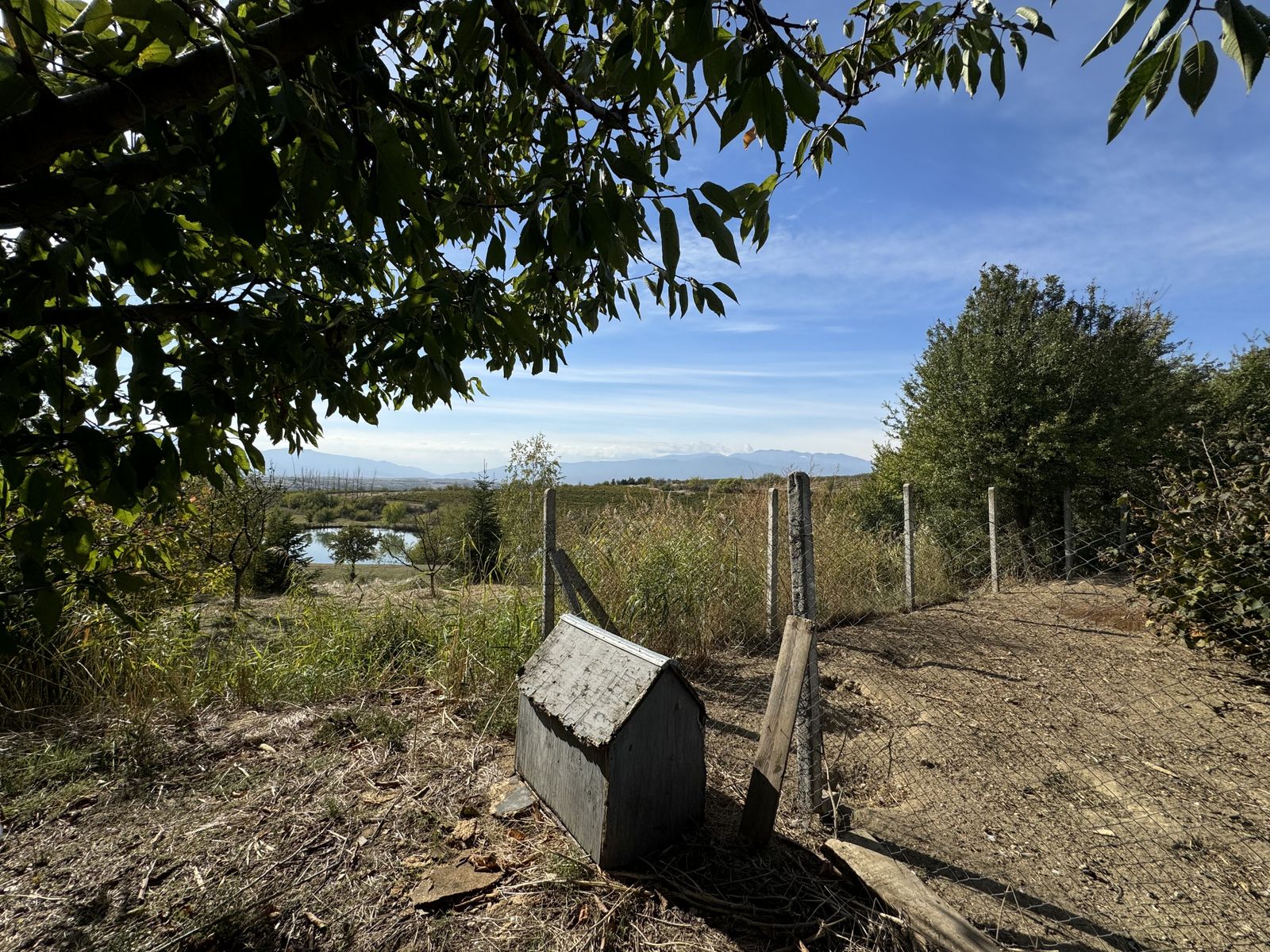 Zornitza Family Estate - Farm - Photo 17