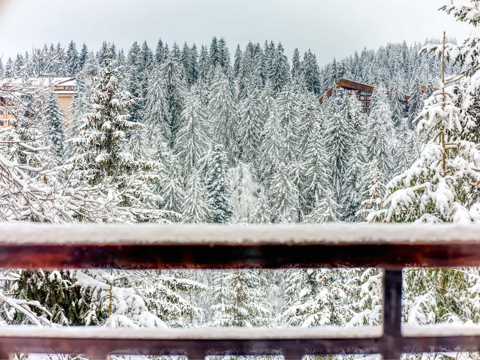 Alpine Glow Studio with Parking, Pamporovo - Photo 9