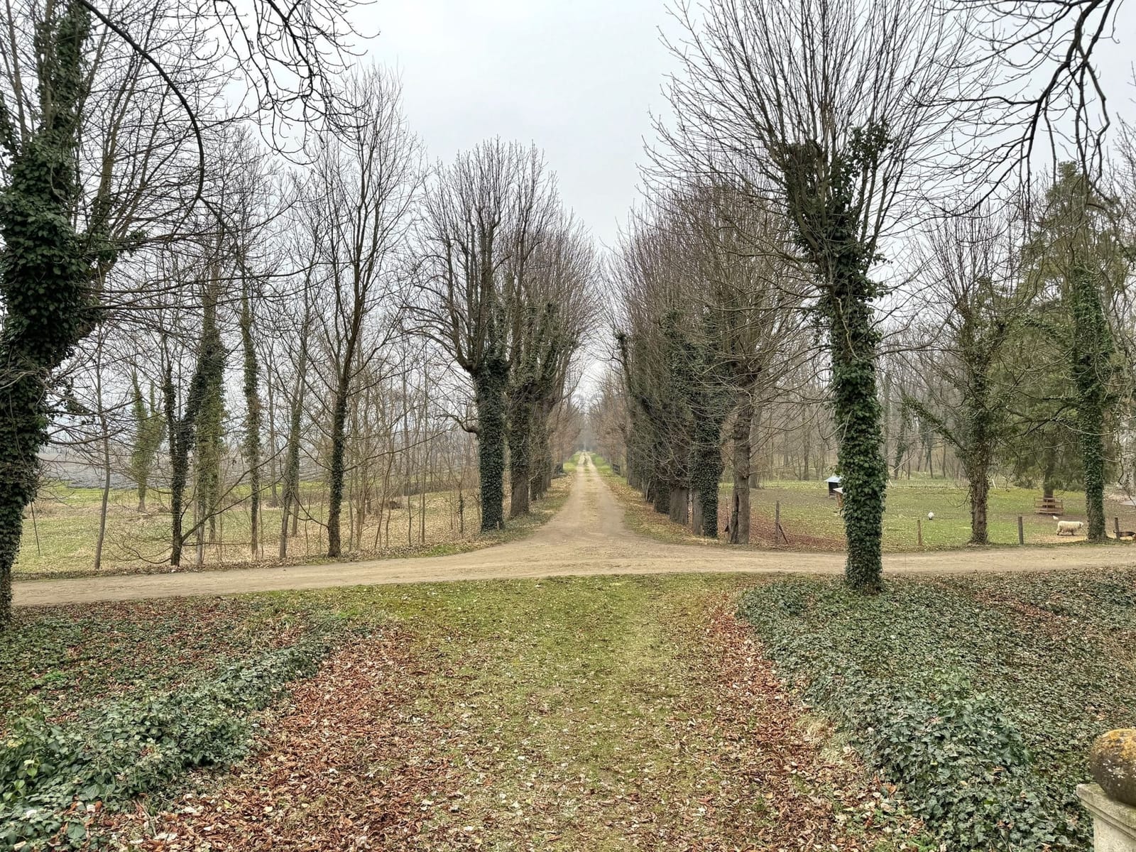 Location 482 - Photo 10