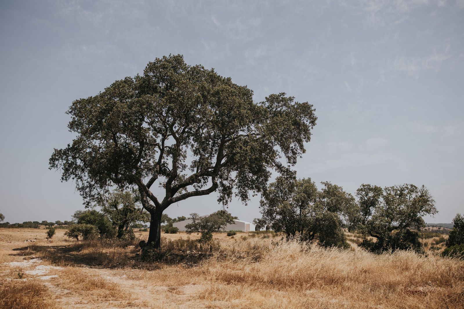 Casa da Volta — Contemporary Walled Villa with Courtyards &amp; Exceptional Natural Light - Photo 13