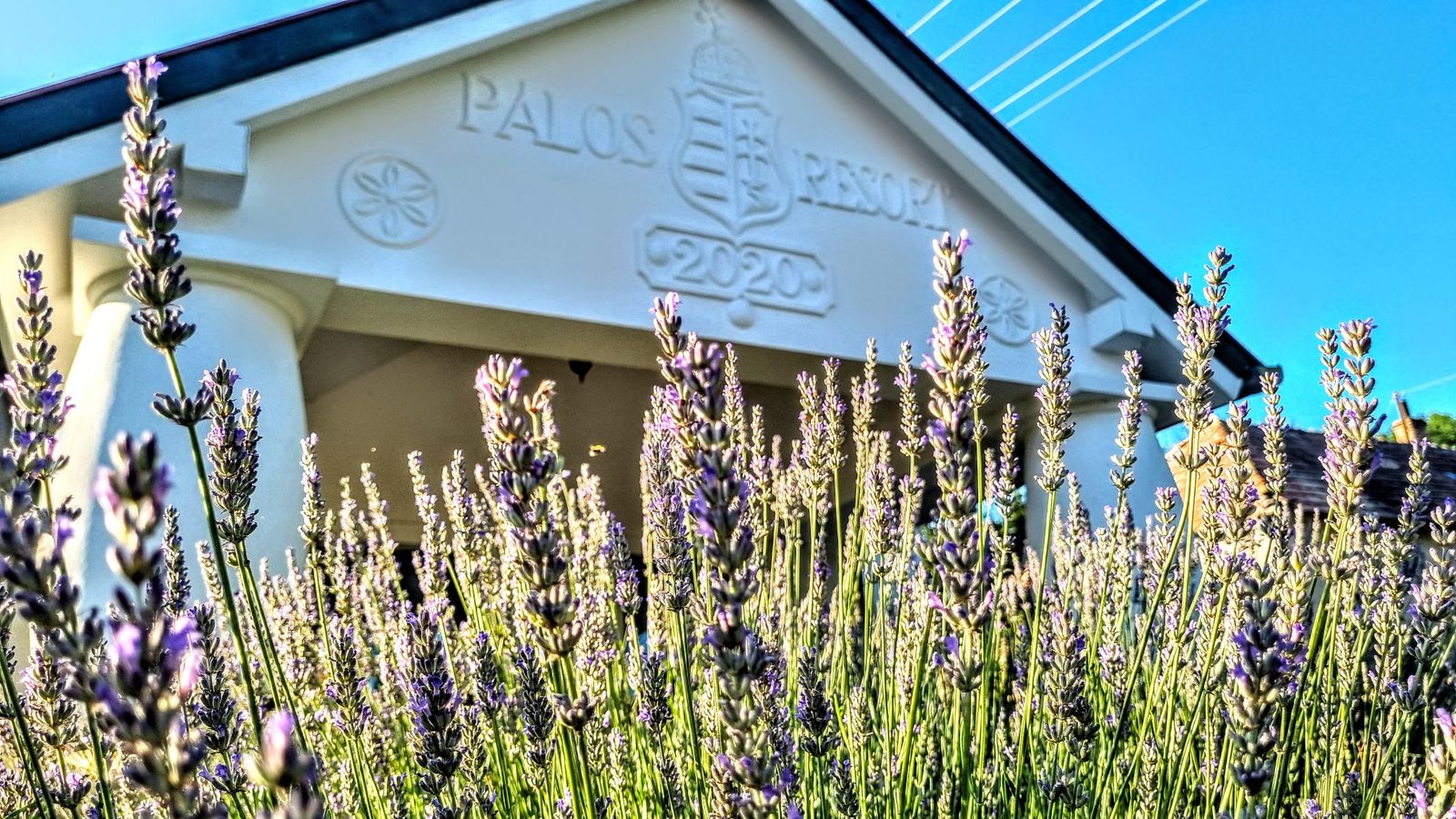 20 hectare traditional ranch - Photo 8