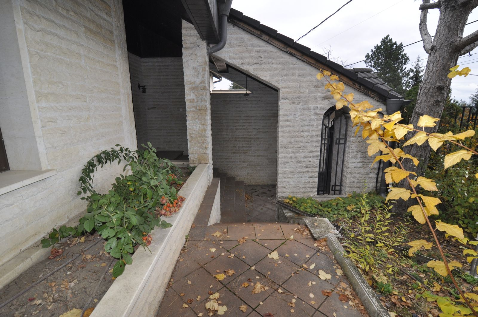 The Mosaic House - Photo 6