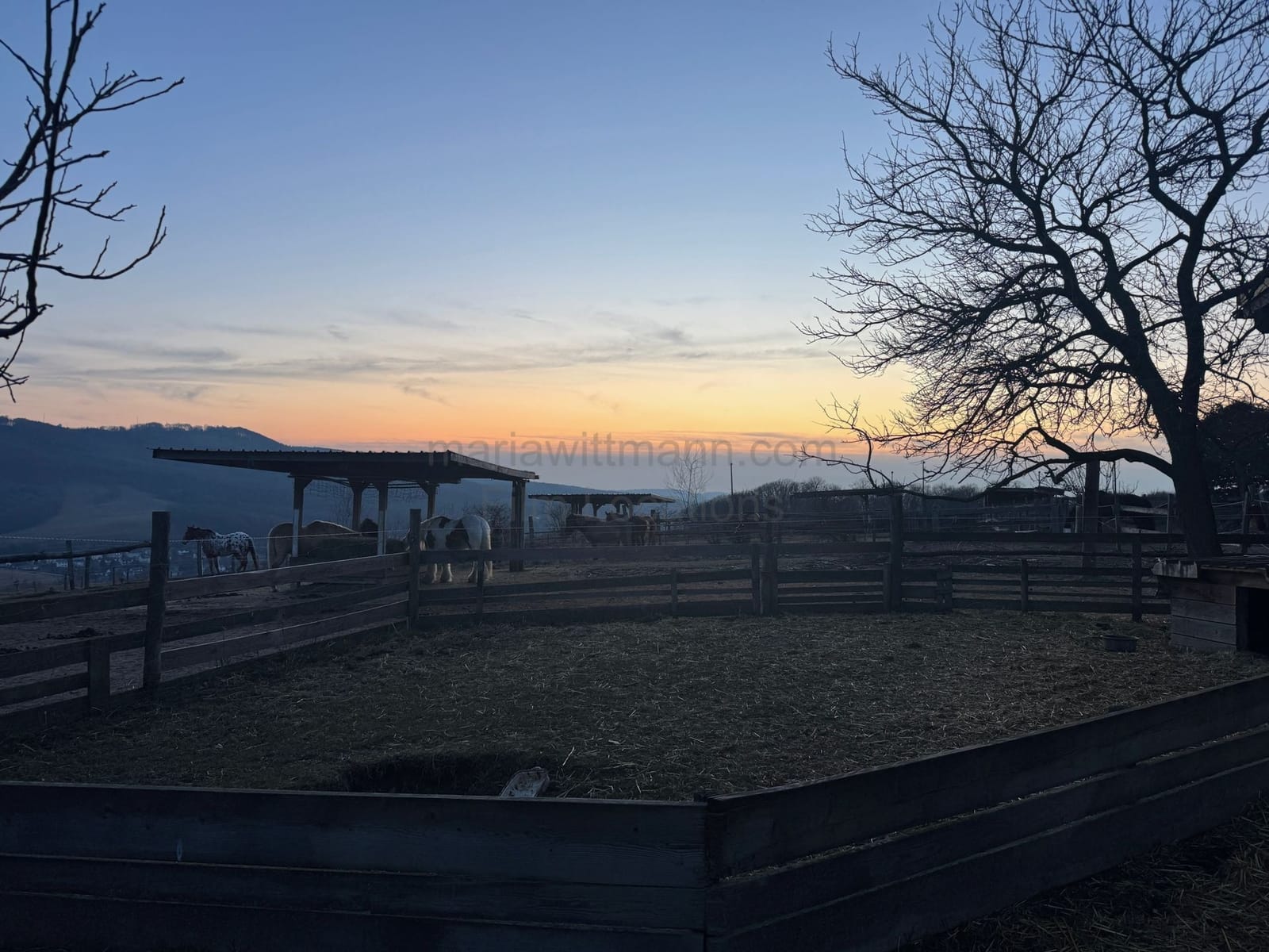 Location 483 - Photo 3