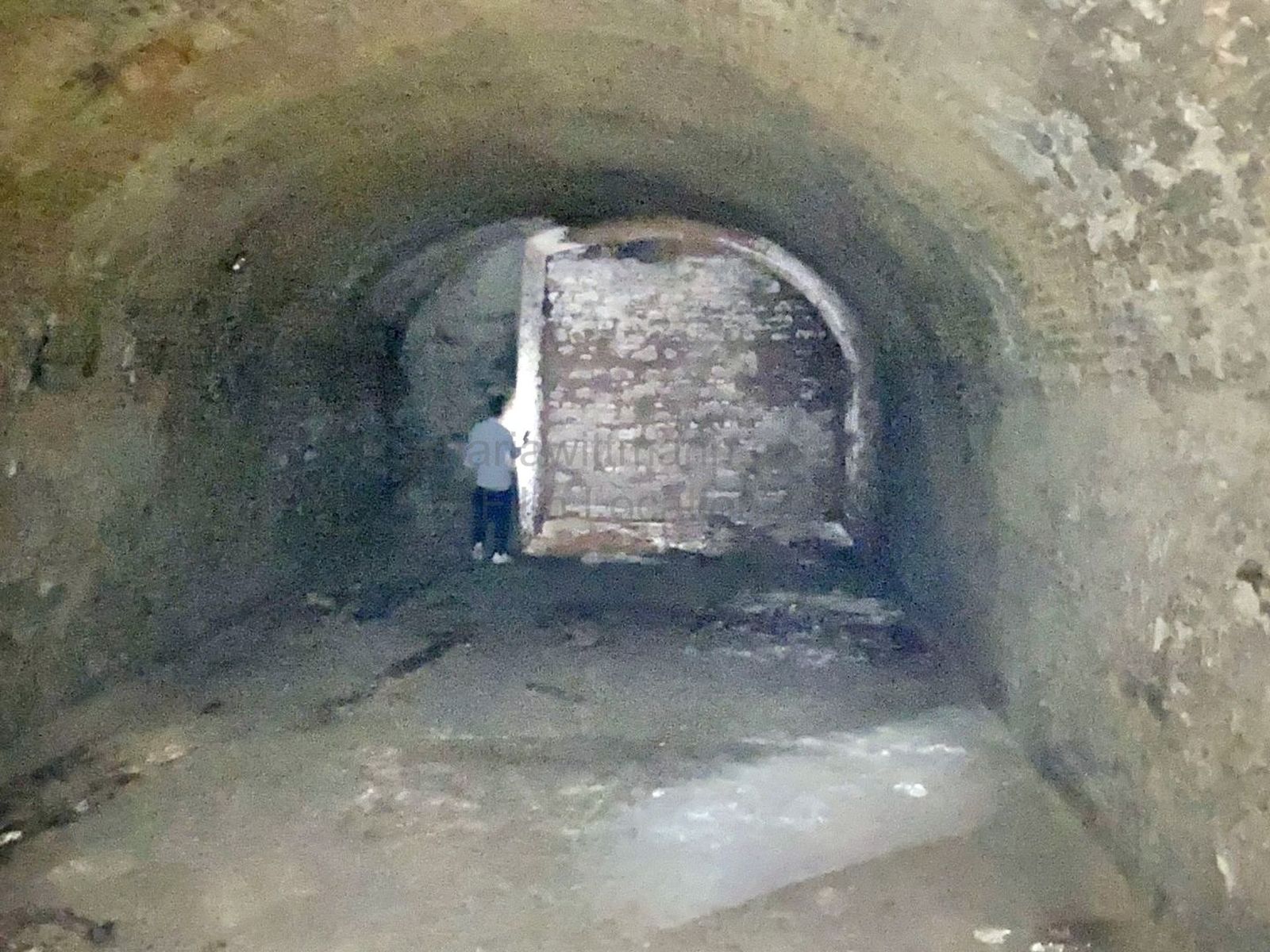 Expansive Historic Brick Vaulted Basement Storage - Photo 4
