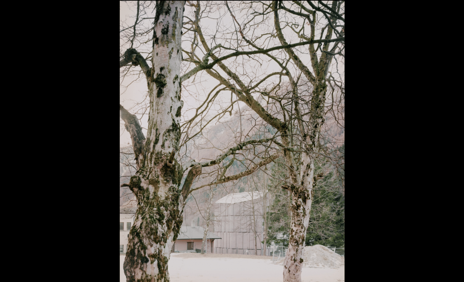 Spluga Climbing Gymnasium - Photo 2