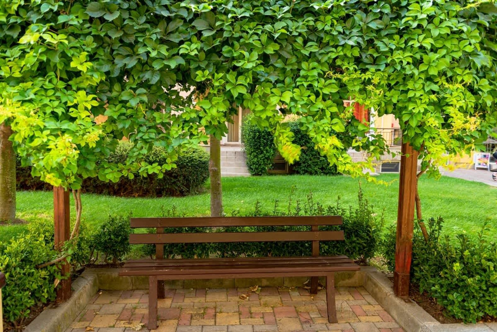 Cozy studio with Sea View in Aheloy Palace - Photo 12