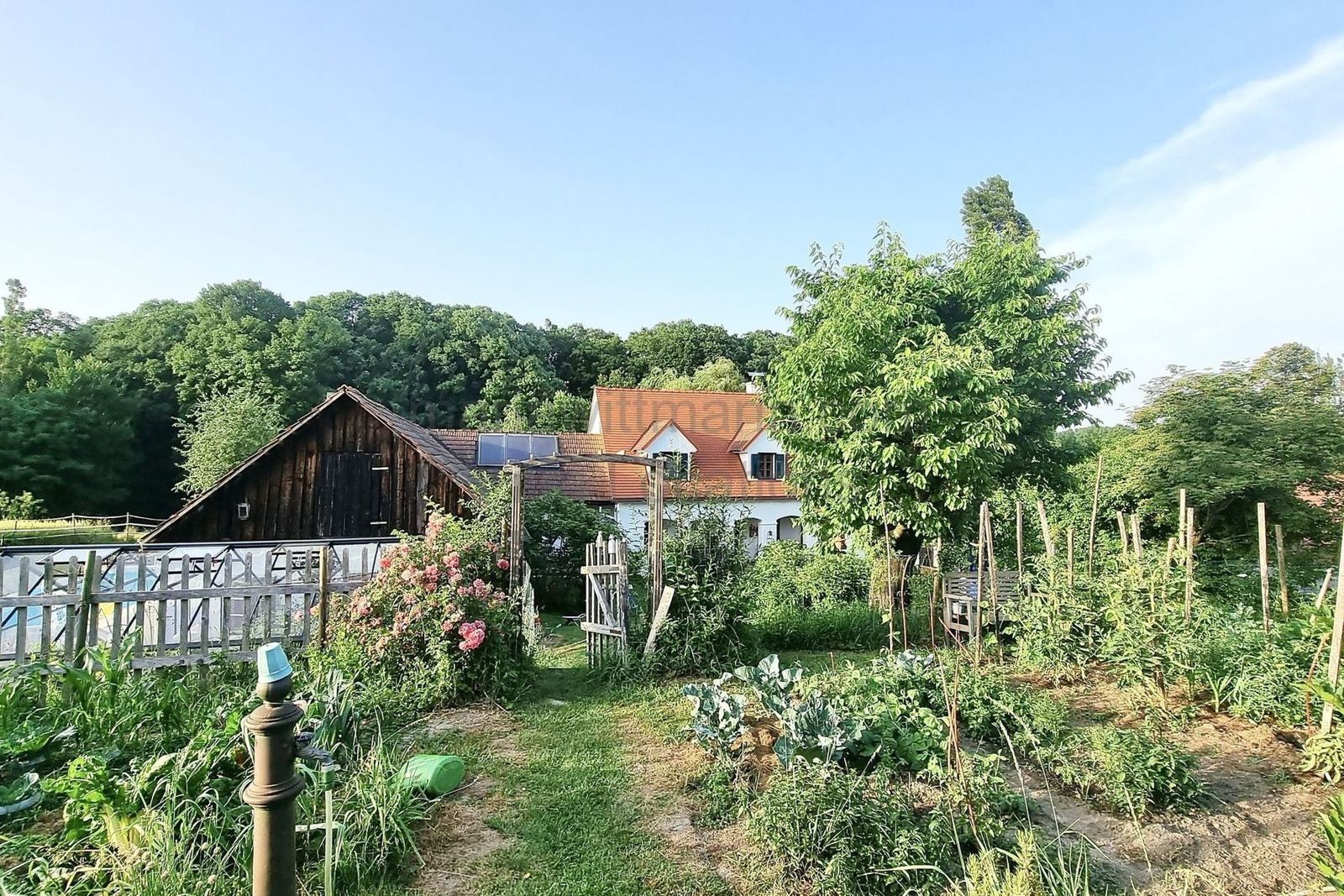 Location 260 - Photo 23