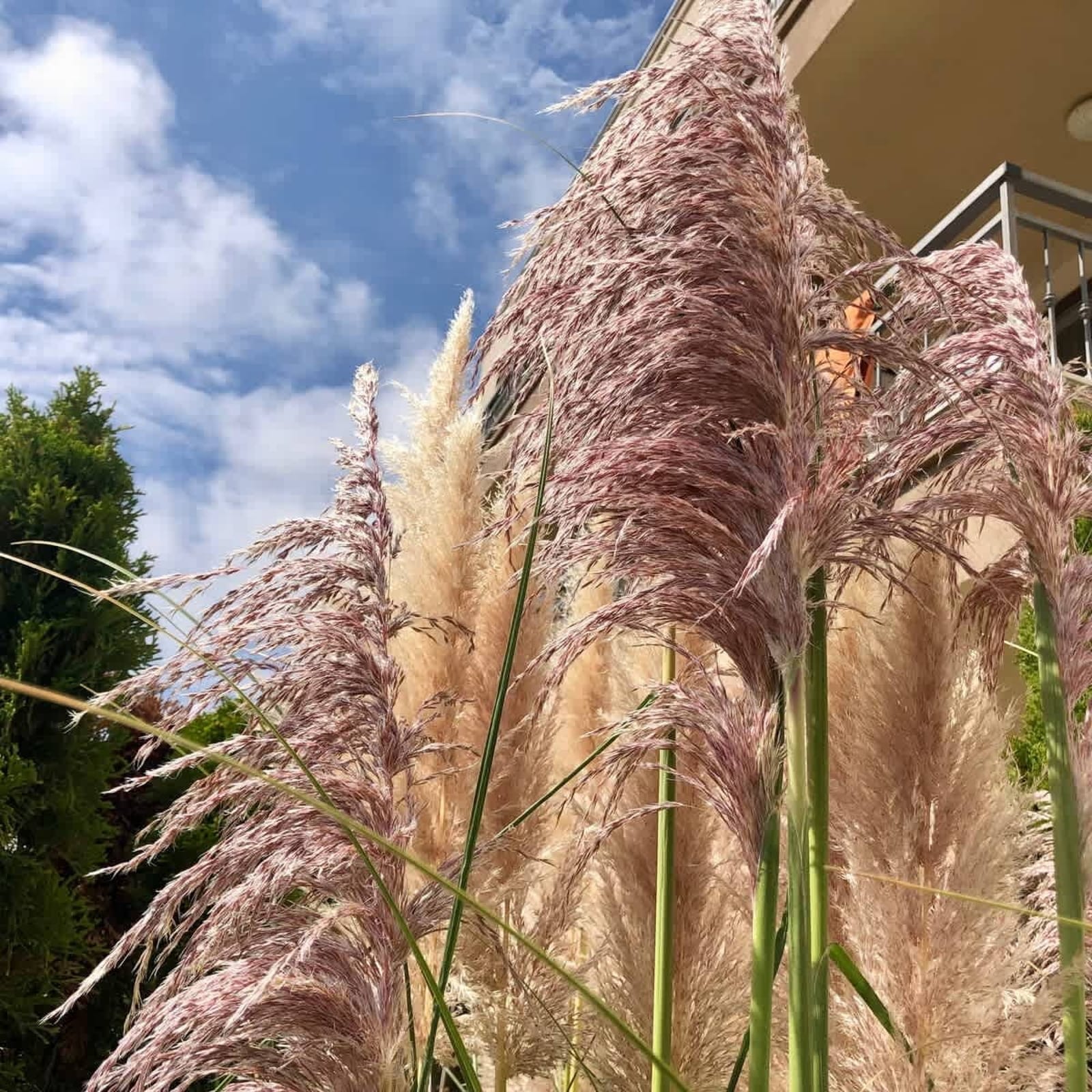 Sorrento Cozy Studio - Photo 29