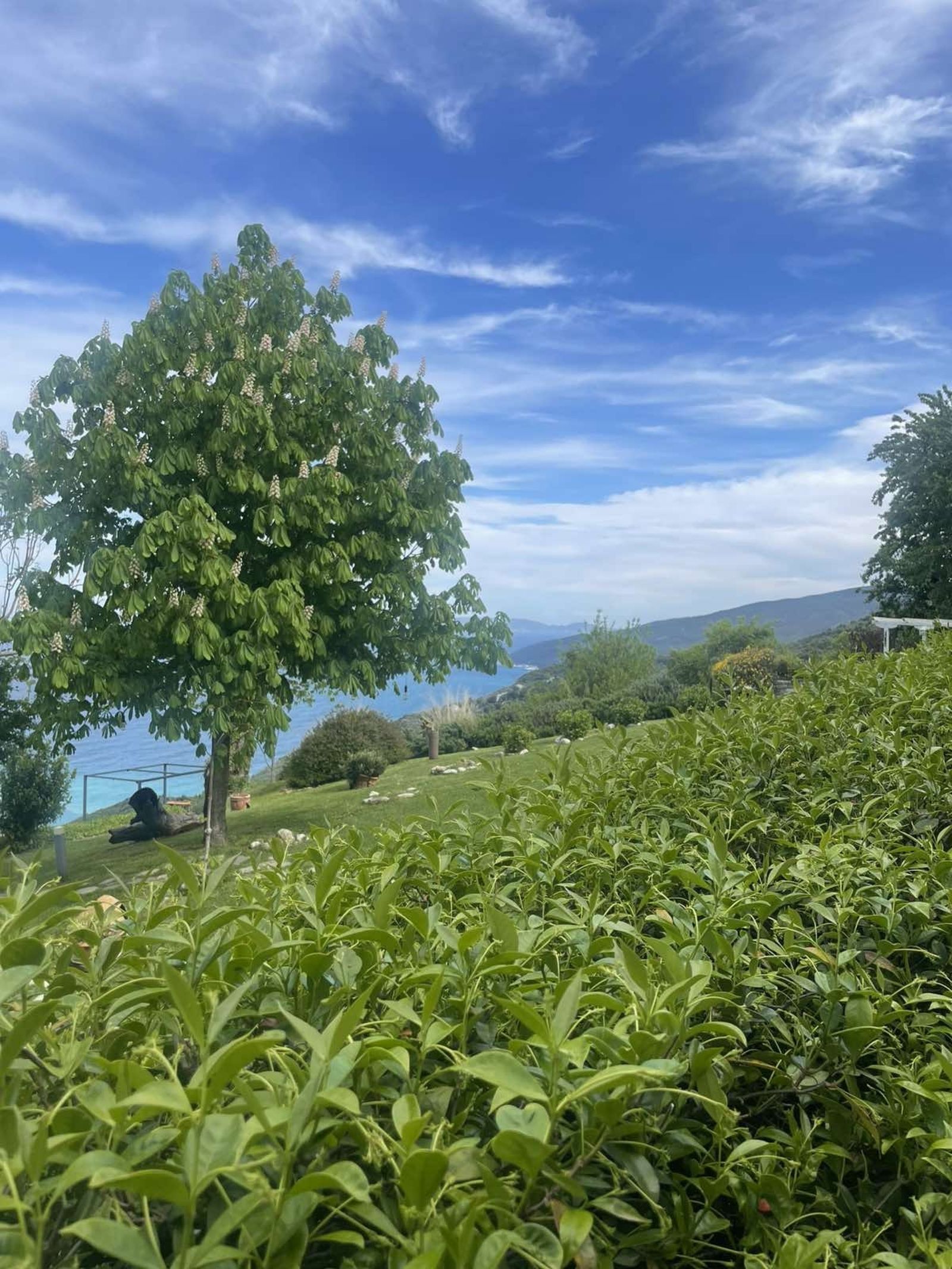 Small Luxury Hotel like an old Traditional house in Pelion with amazing garden and breathteking sea view to the agean. - Photo 3