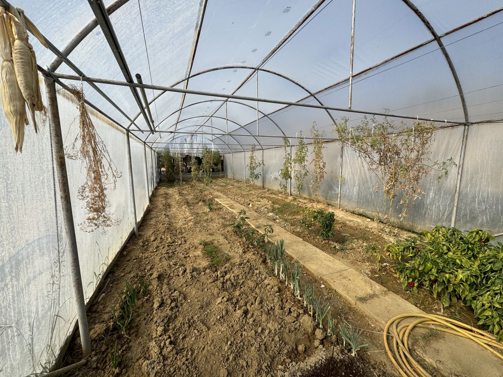 Zornitza Family Estate - Farm - Photo 12