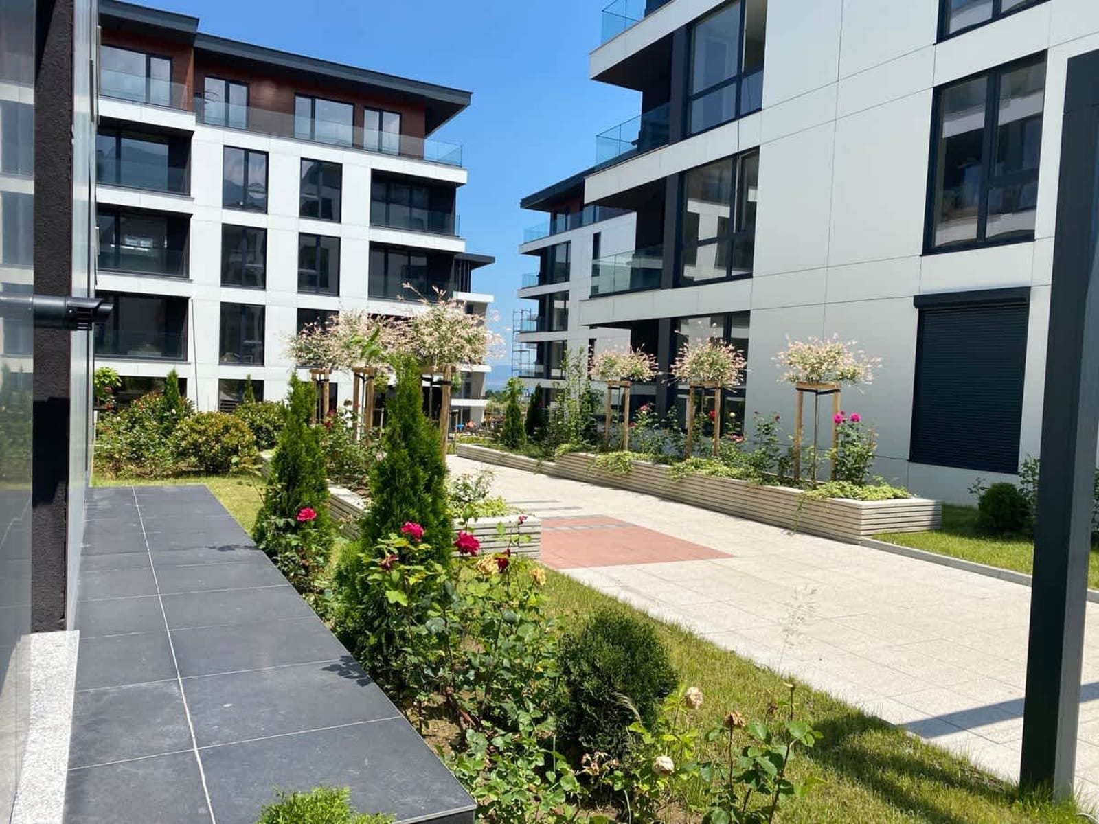 Gran Capital - Mountain View, Free Parking - Photo 5