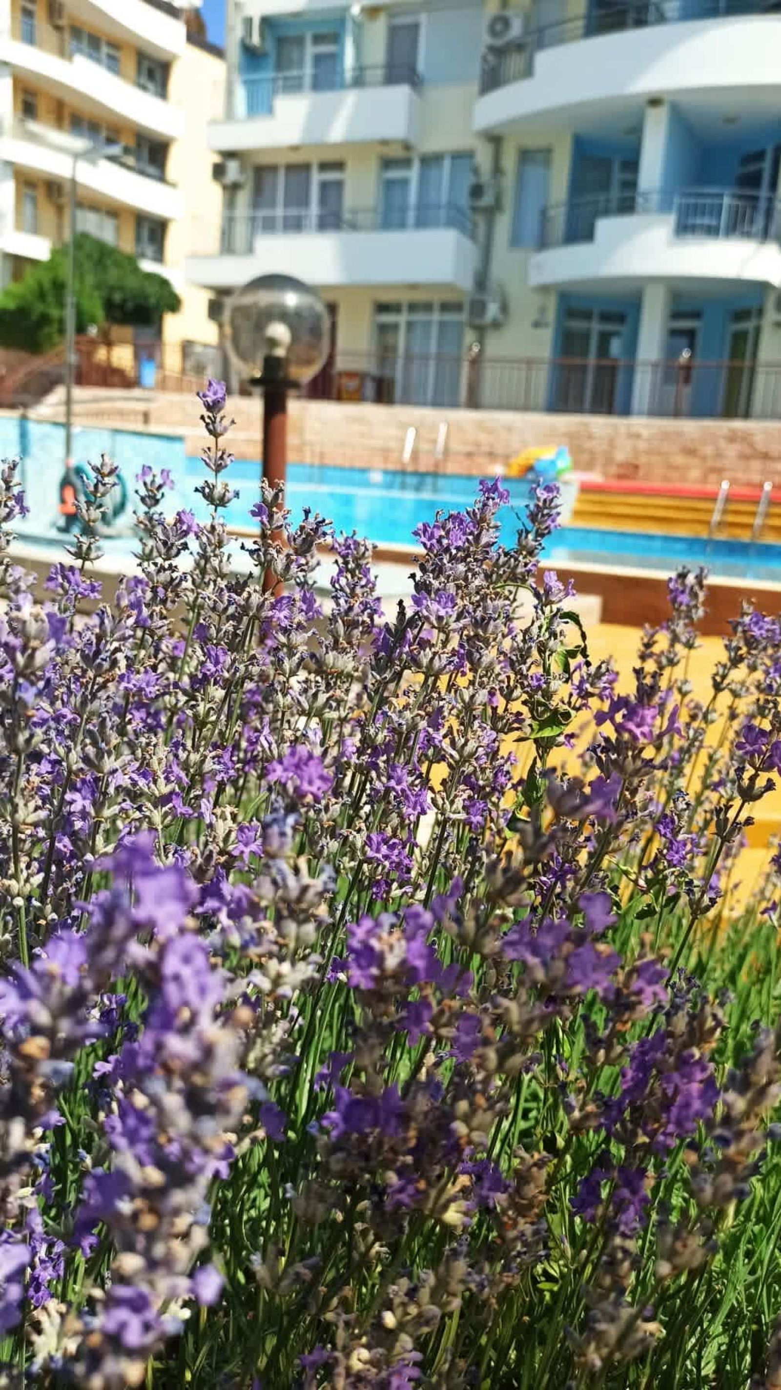 Sunset Studio in Kosharitsa | Pool | SPA | Gym | Parking - Photo 20