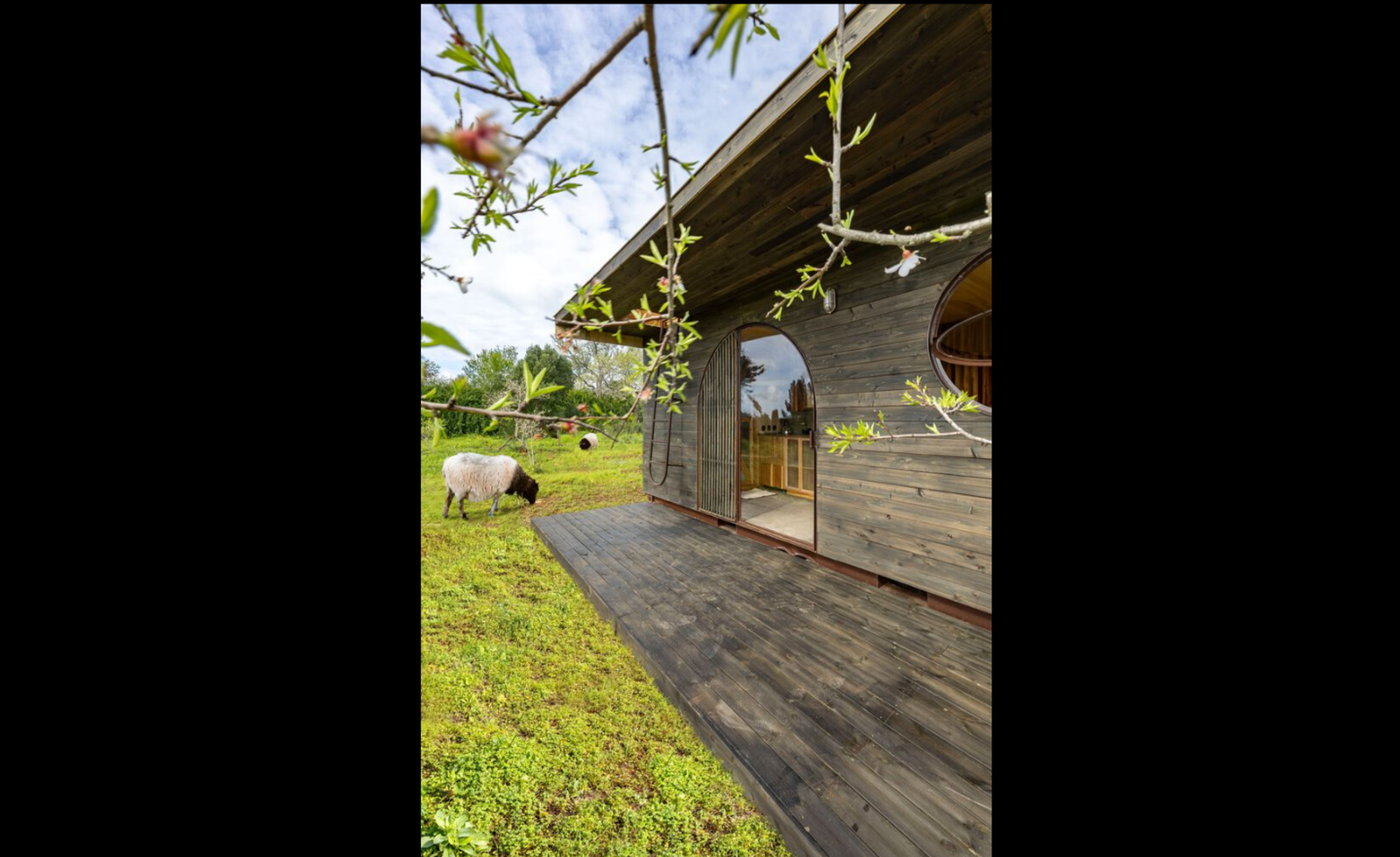 Cargo House - Photo 16