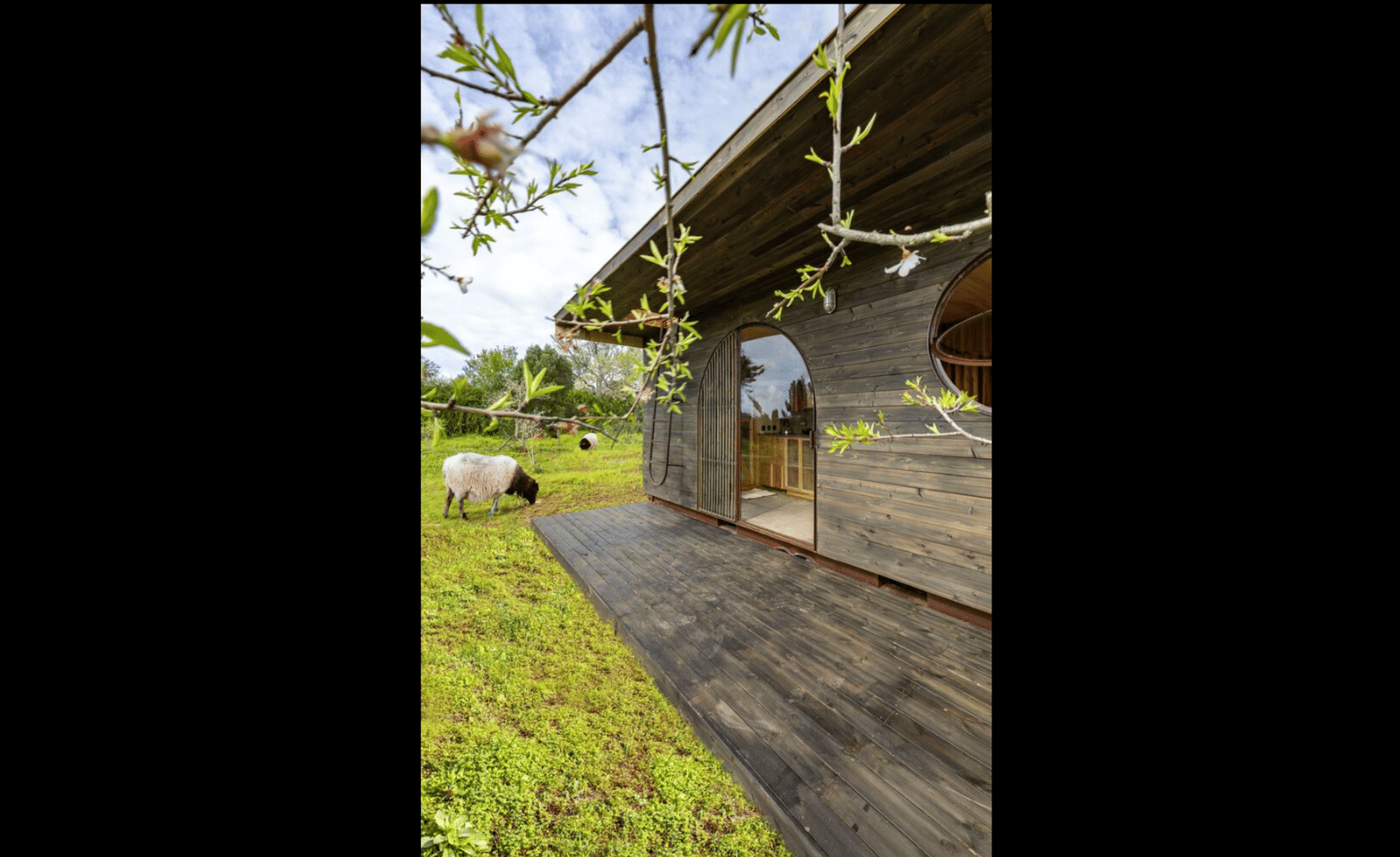 Cargo House - Photo 16