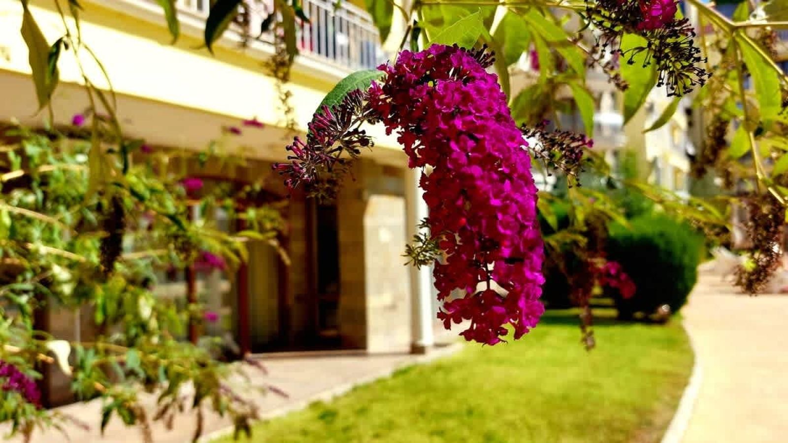 Cozy apartment in Summer Dreams - Photo 27