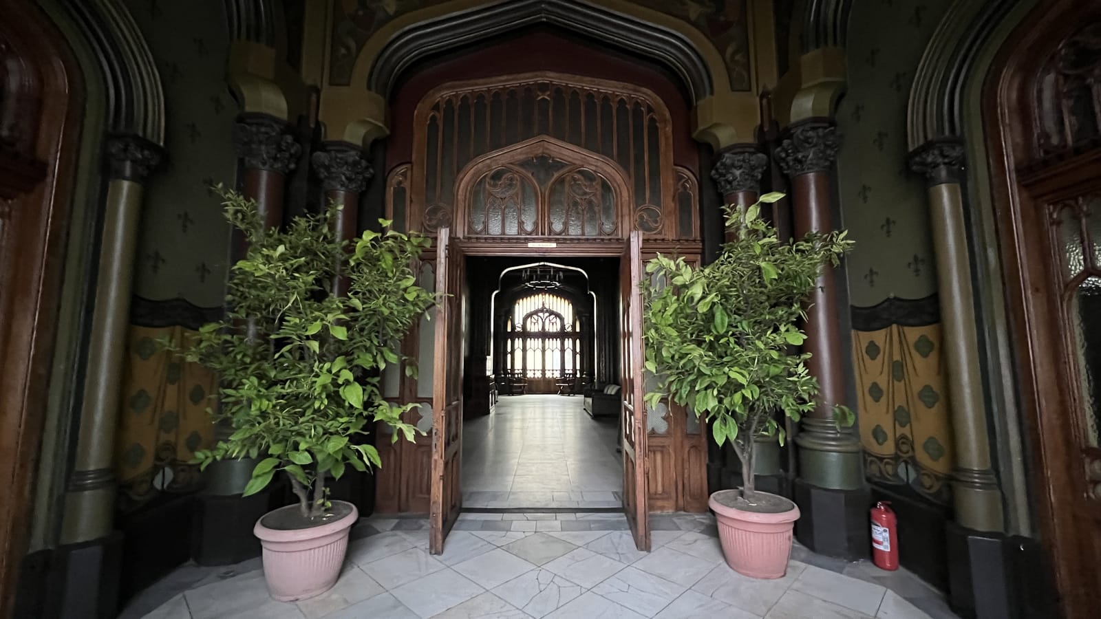 Gothic Mansion in Bucharest - Photo 8