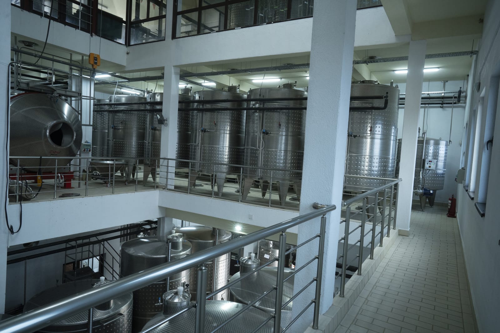 Villa Melnik - Photo 7