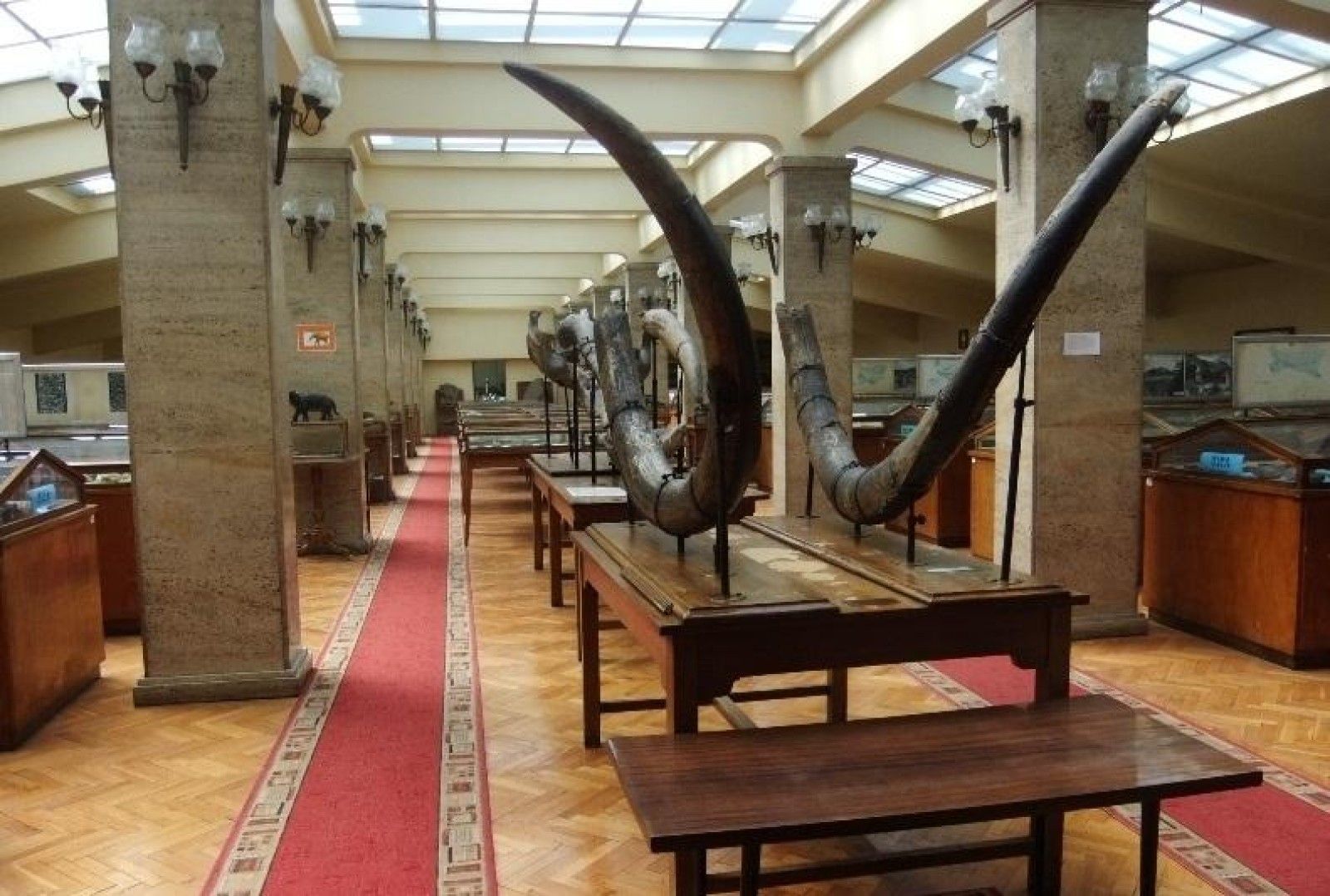 SOFIA UNIVERSITY ST. KLIMENT OHRIDSKI - Photo 6