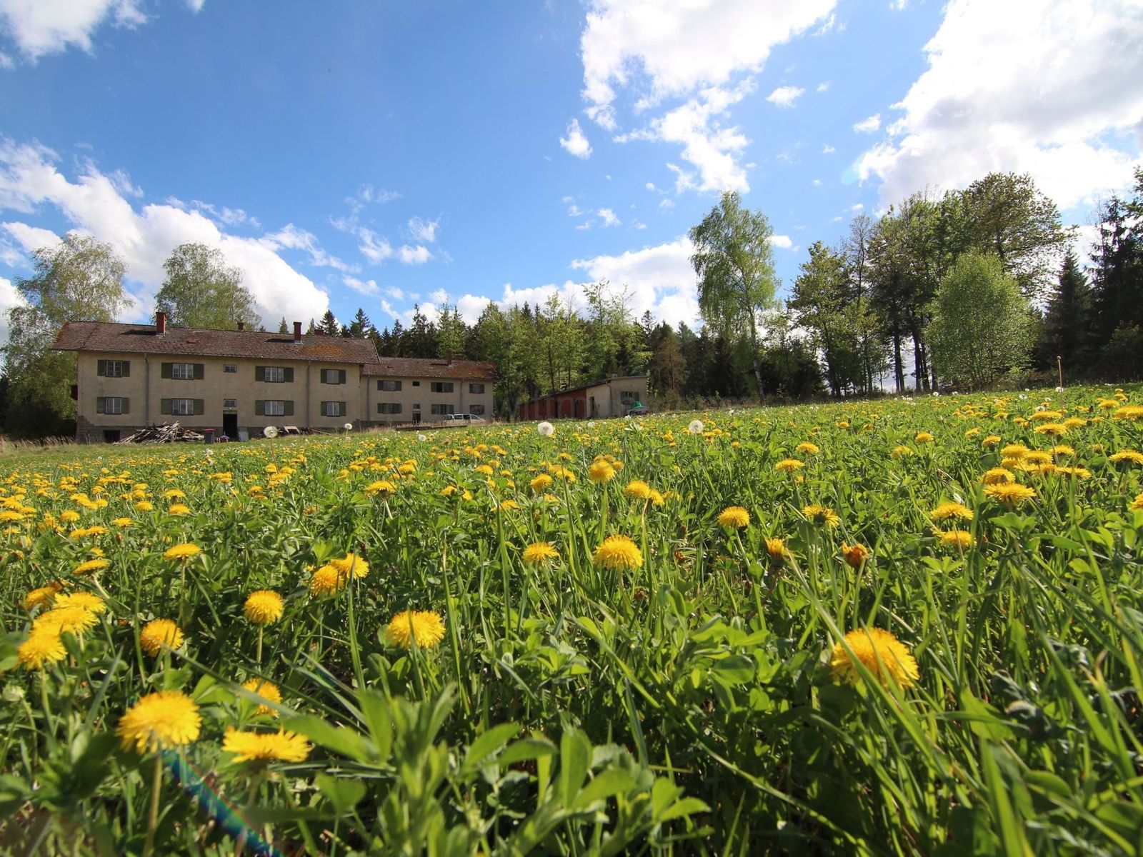 Location 518 - Photo 17