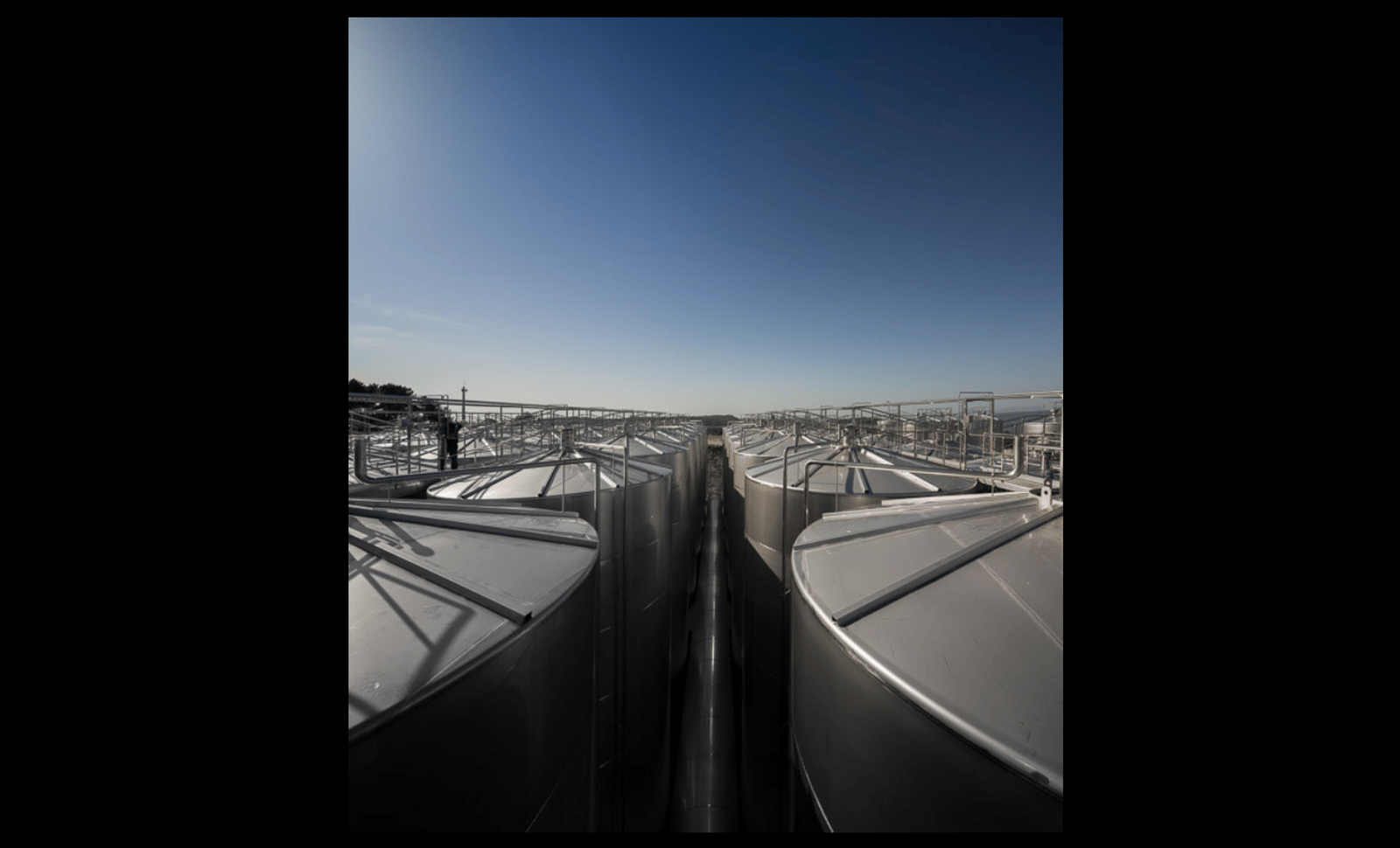 Douro and Porto Winery - Photo 2