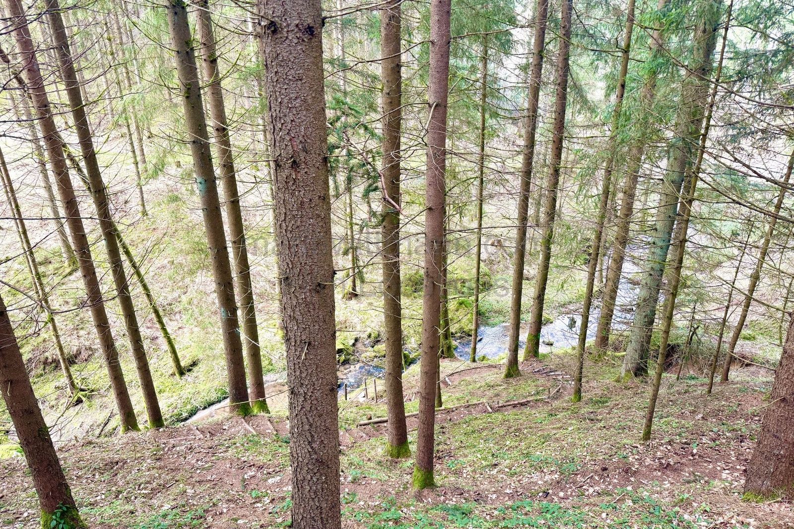 Location 479 - Photo 26