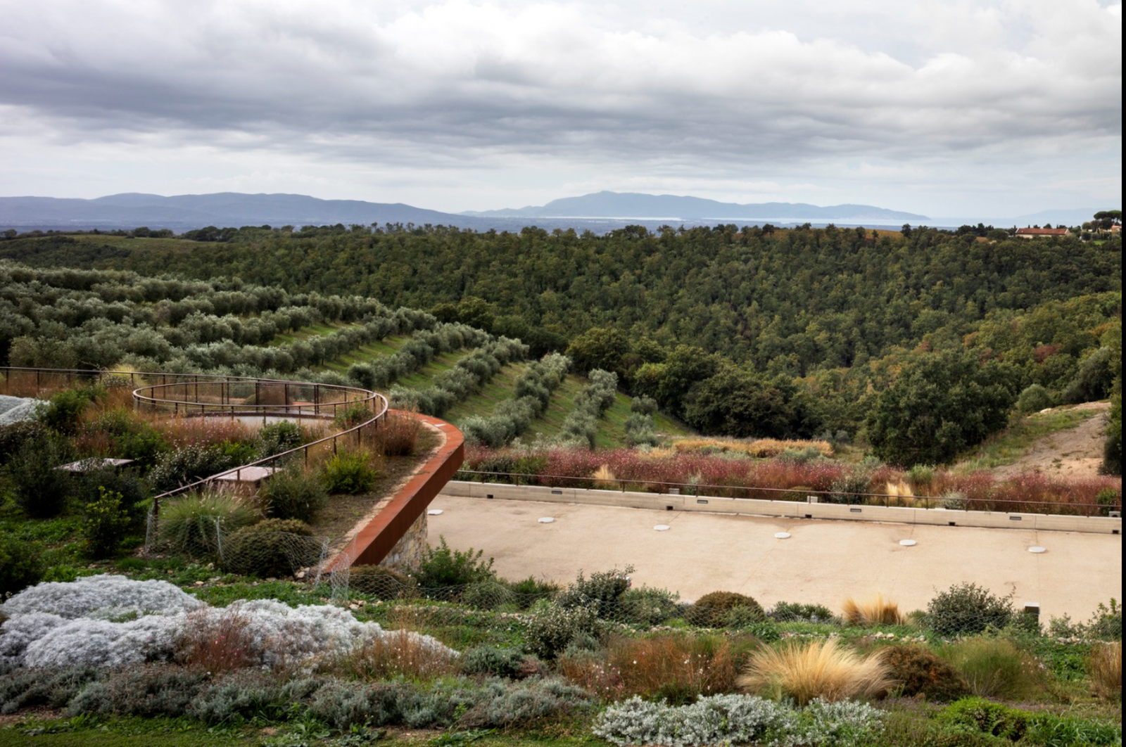 Il Quinto Winery - Photo 10