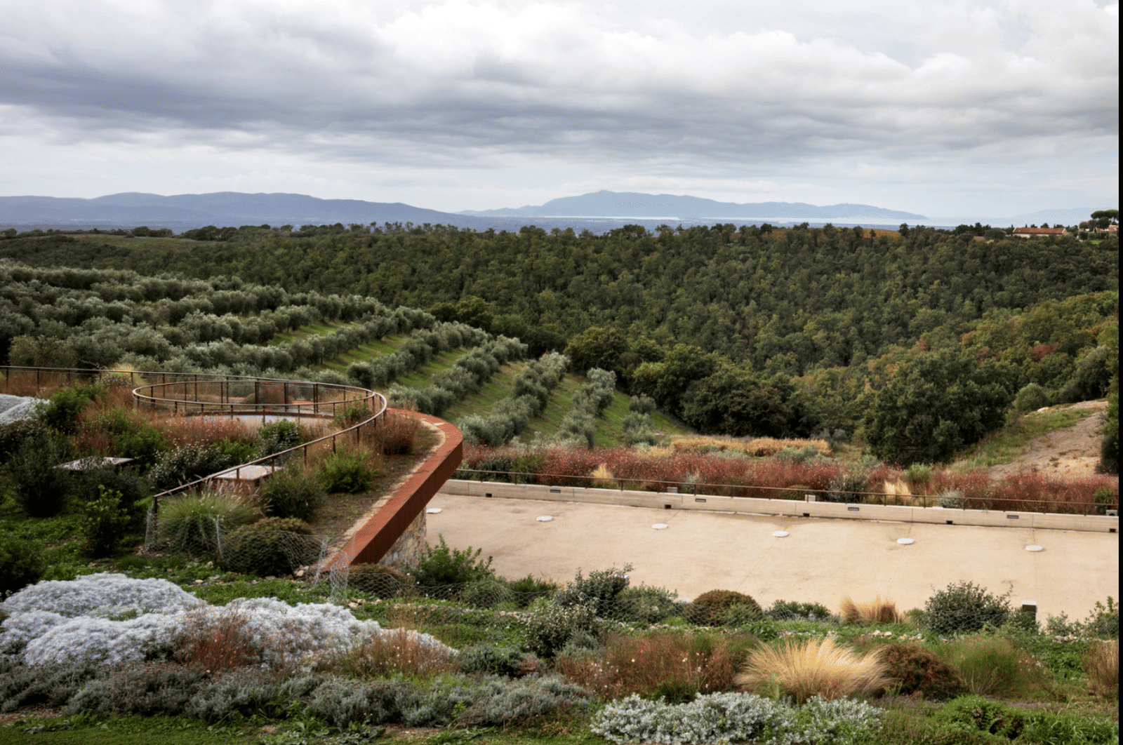 Il Quinto Winery - Photo 10