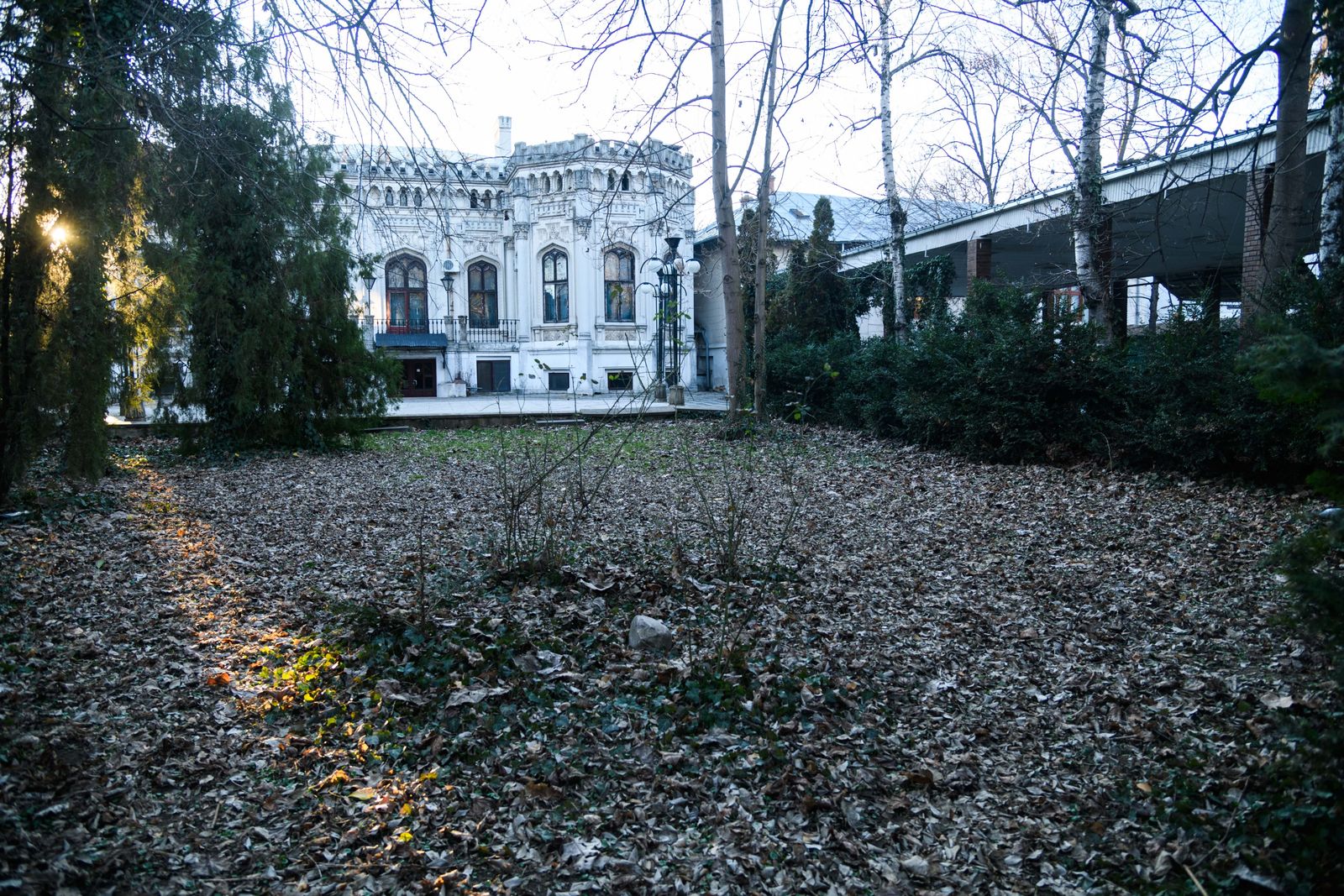 Gothic Mansion in Bucharest - Photo 5