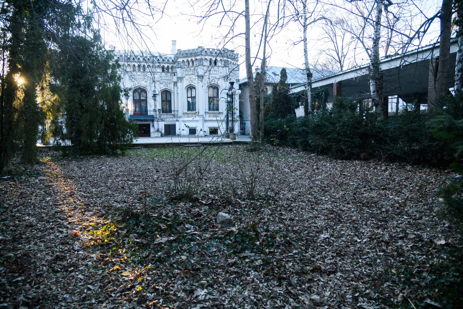 Gothic Mansion in Bucharest - Photo 5