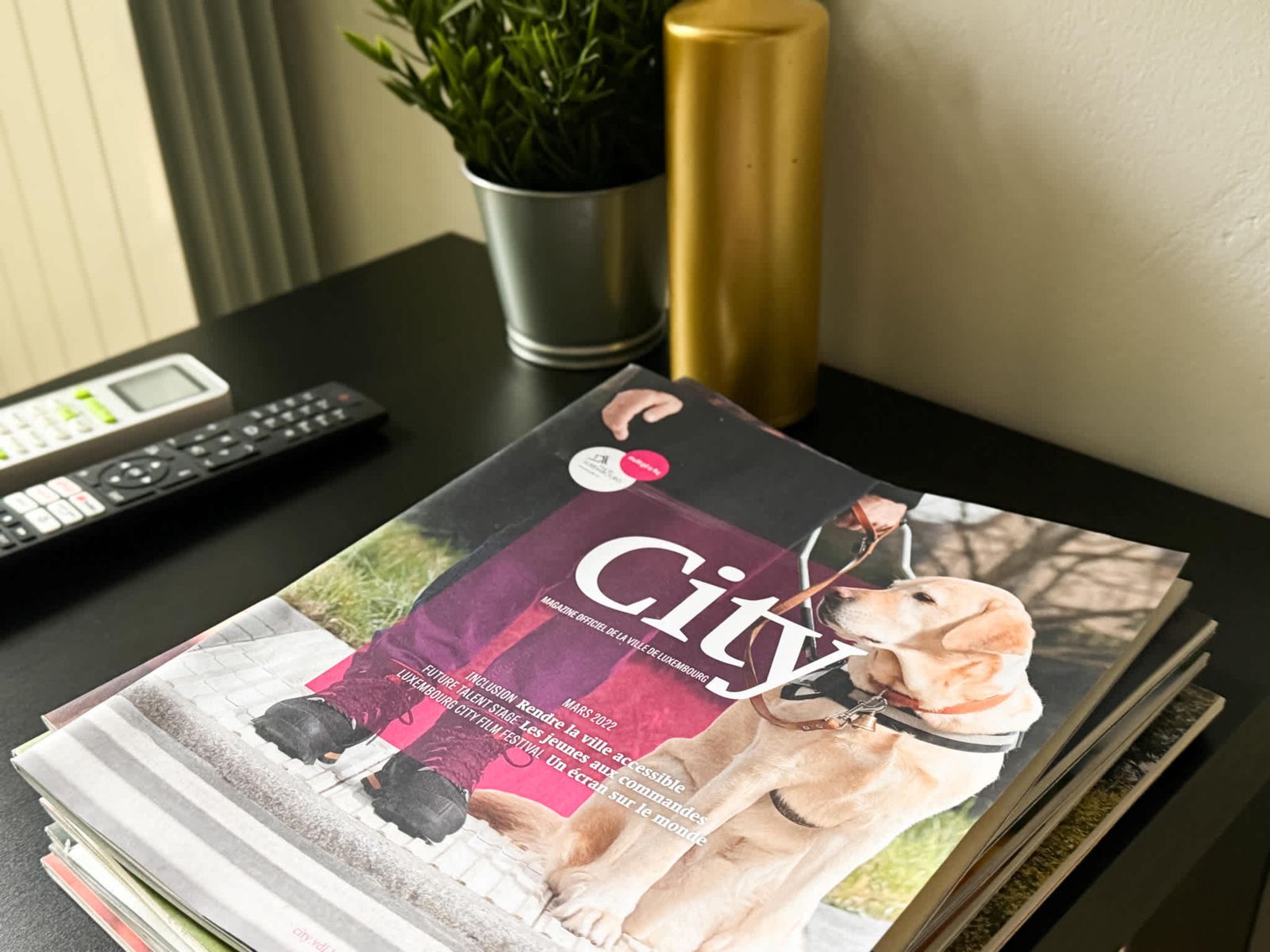 Cozy Central 1BD Apartment - Photo 16