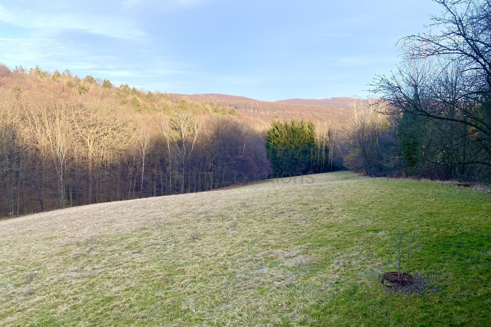 Location 263 - Photo 7