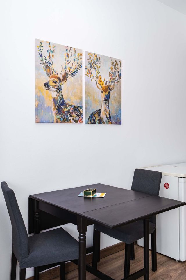 Charming Studio on Vitosha Street