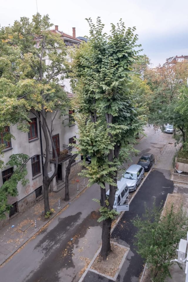 City Park Cosy Apartment