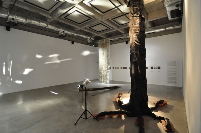 Center for contemporary arts TOPLOCENTRALA