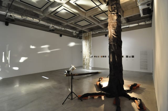 Center for contemporary arts TOPLOCENTRALA