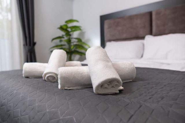 Central Plovdiv: Modern 1BR with Netflix & Balcony