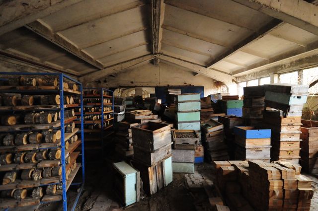 Industrial building - woodworking/carpentry shop, old cow barns - former collective farm from the socialist regime