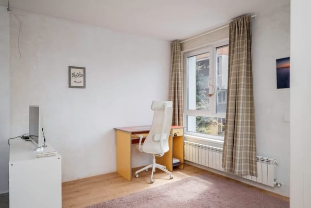 Bright and Cozy 1BD Apartment plus Desk - Photo 3