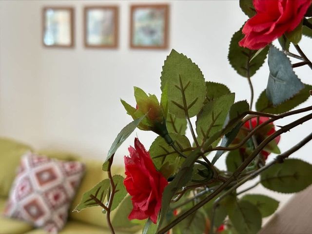 Cozy  Aheloy * 3 pokoje * widok na morze