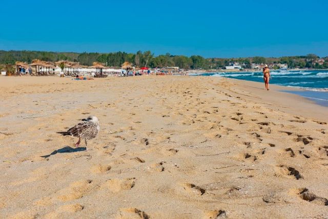 Cozy South Pearl  Comfortable studio for 4 person