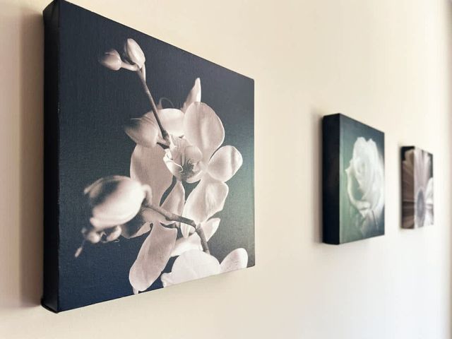 Modern 2BD Flat in Central Sofia + Workspace