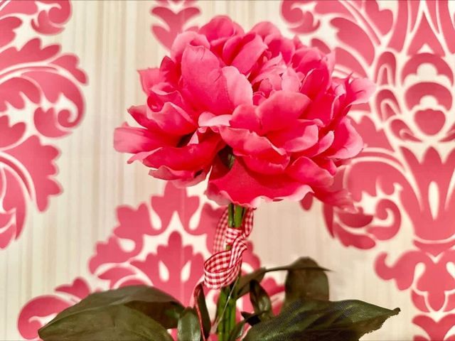 Cozy Aheloy  sea view  2 bedroom