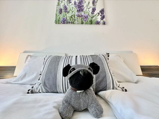 Cozy Rainbow 3  studio pool view