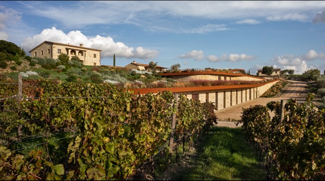 Il Quinto Winery
