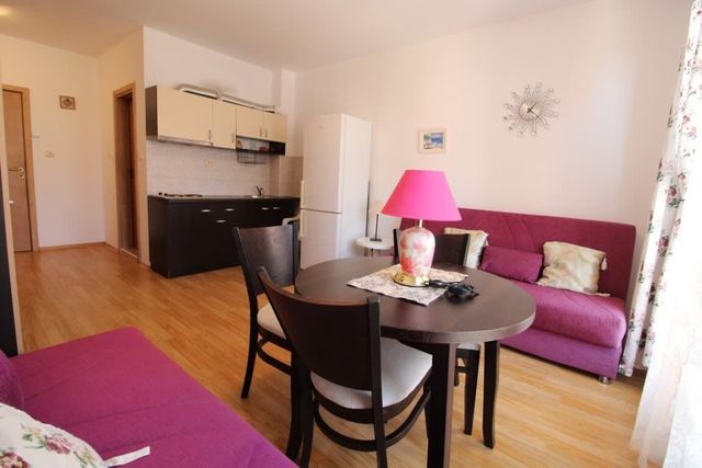 Sunny Day 6 Family Studio