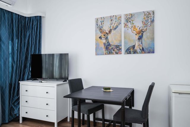 Charming Studio on Vitosha Street