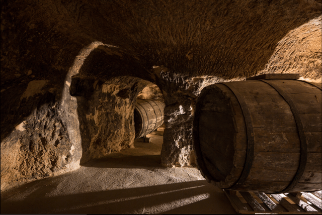 Dominio del Pidio Winery