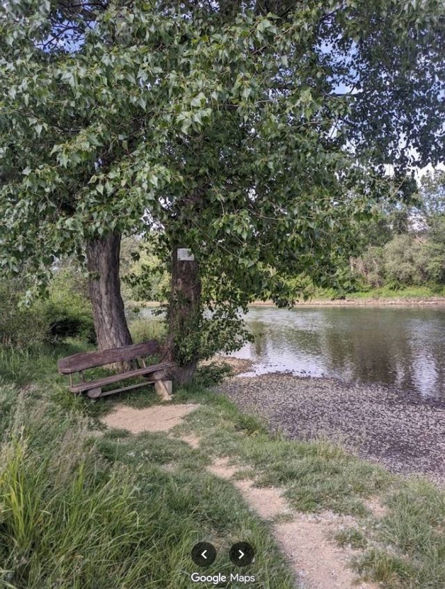 Private lake with islands and beautiful nature